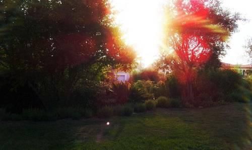 Outdoor Pictures 6