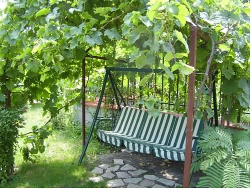 Outdoor Pictures 21