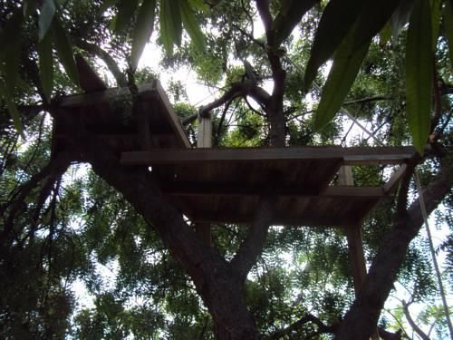Outdoor Pictures 23