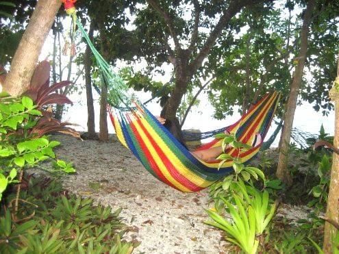 Outdoor Pictures 7