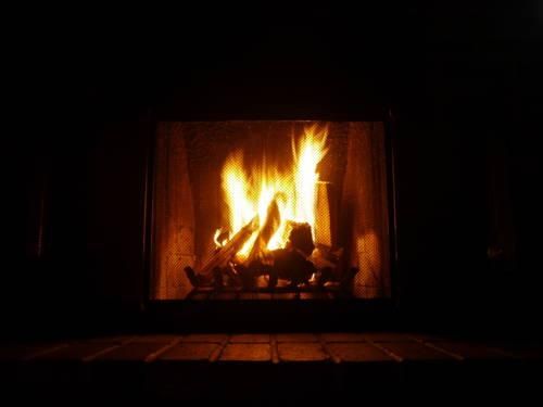 Outdoor Pictures 15