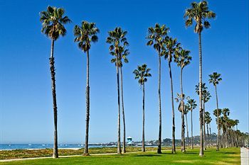 Outdoor Pictures 20