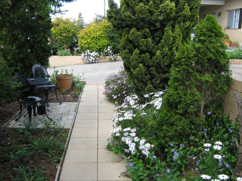 Outdoor Pictures 19