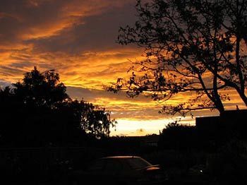 Outdoor Pictures 21