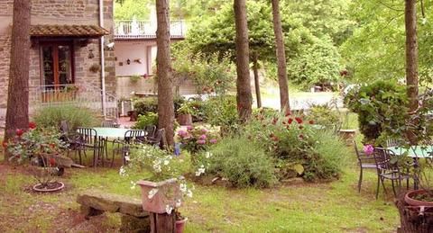 Outdoor Pictures 18