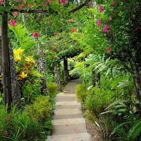 Outdoor Pictures 22