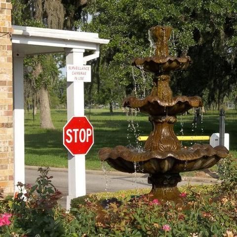Outdoor Pictures 17