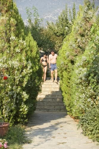 Outdoor Pictures 18
