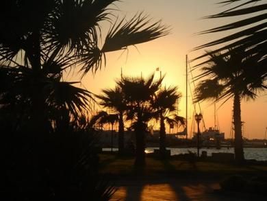 Outdoor Pictures 15