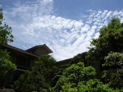 Outdoor Pictures 23