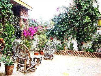 Outdoor Pictures 10