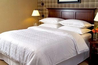 Courtyard by Marriott Dulles Airport Herndon