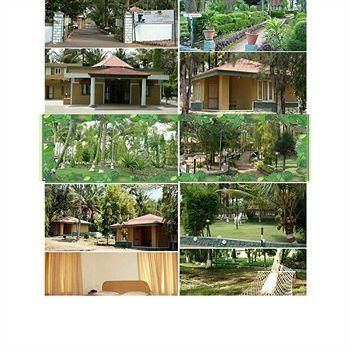 Outdoor Pictures 2