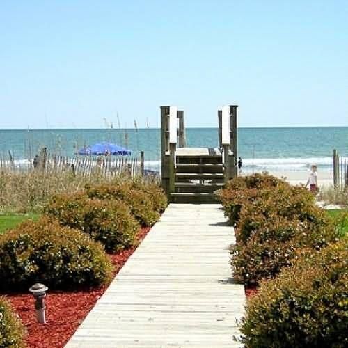 Outdoor Pictures 17