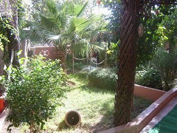 Outdoor Pictures 18