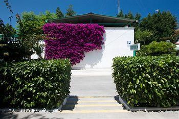 Outdoor Pictures 21