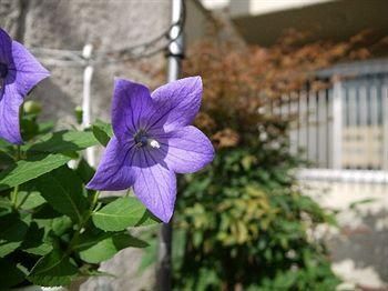 Outdoor Pictures 2