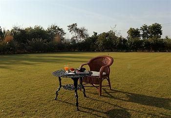 Outdoor Pictures 7
