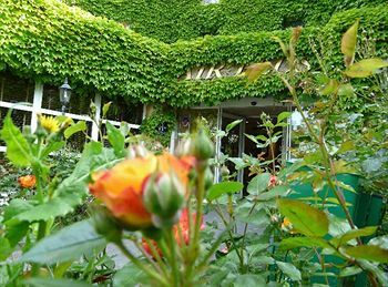 Outdoor Pictures 20