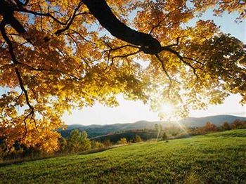 Outdoor Pictures 20