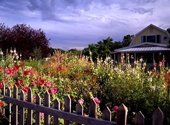 Outdoor Pictures 21