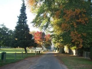 Outdoor Pictures 14