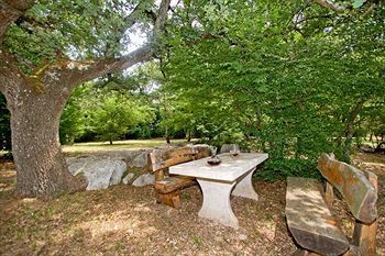 Outdoor Pictures 21