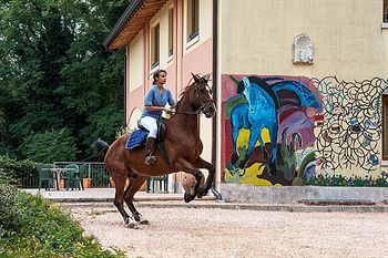 Outdoor Pictures 19
