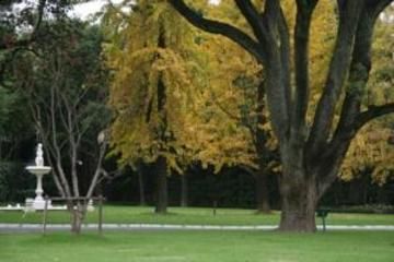 Outdoor Pictures 10