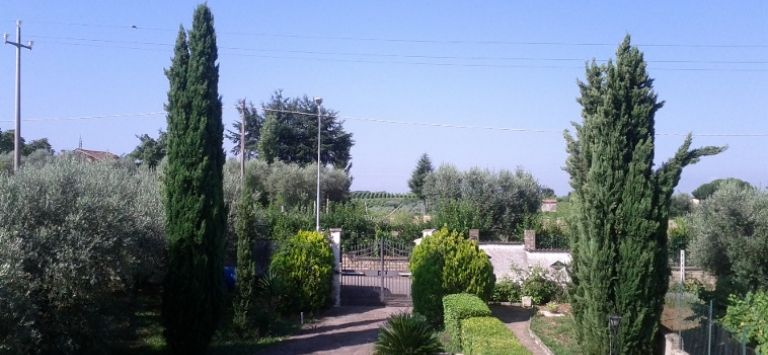 Outdoor Pictures 7