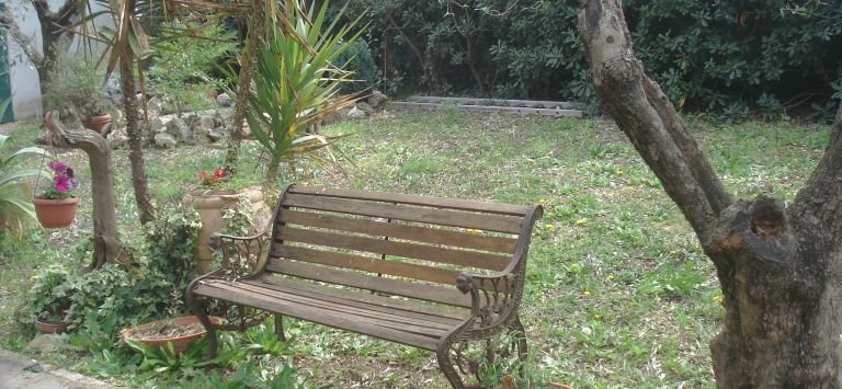 Outdoor Pictures 9