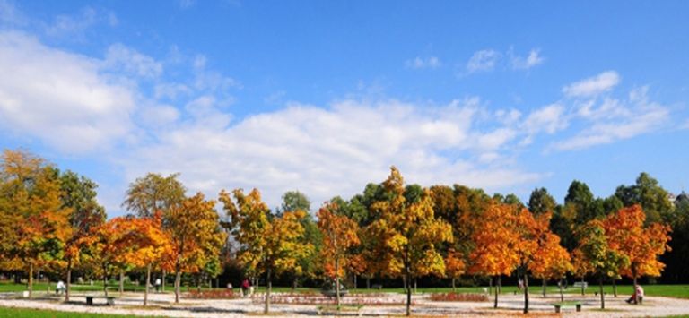 Outdoor Pictures 22