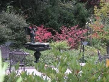Outdoor Pictures 23