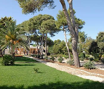 Outdoor Pictures 18