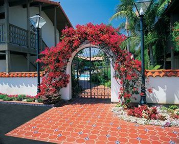 Outdoor Pictures 20