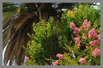 Outdoor Pictures 22