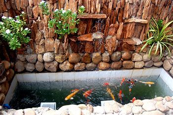 Outdoor Pictures 22