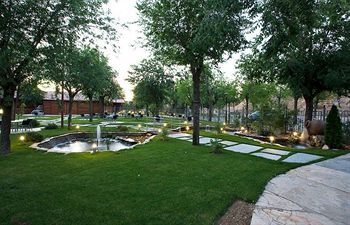 Outdoor Pictures 22