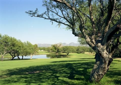Outdoor Pictures 16