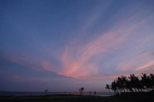 Outdoor Pictures 20