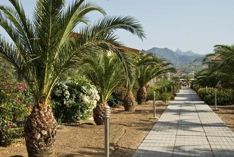 Outdoor Pictures 21