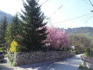 Outdoor Pictures 7