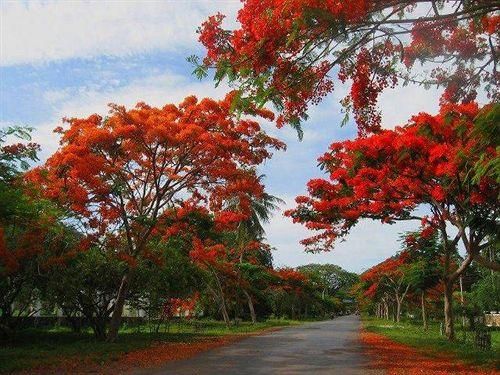 Outdoor Pictures 17
