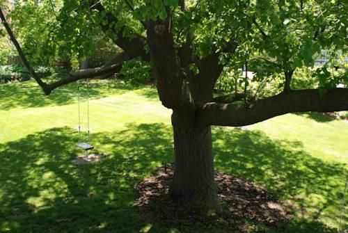 Outdoor Pictures 19