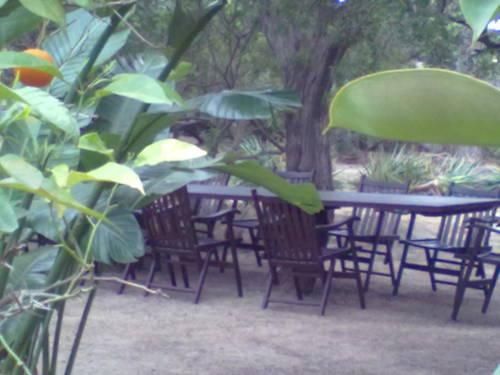 Outdoor Pictures 9