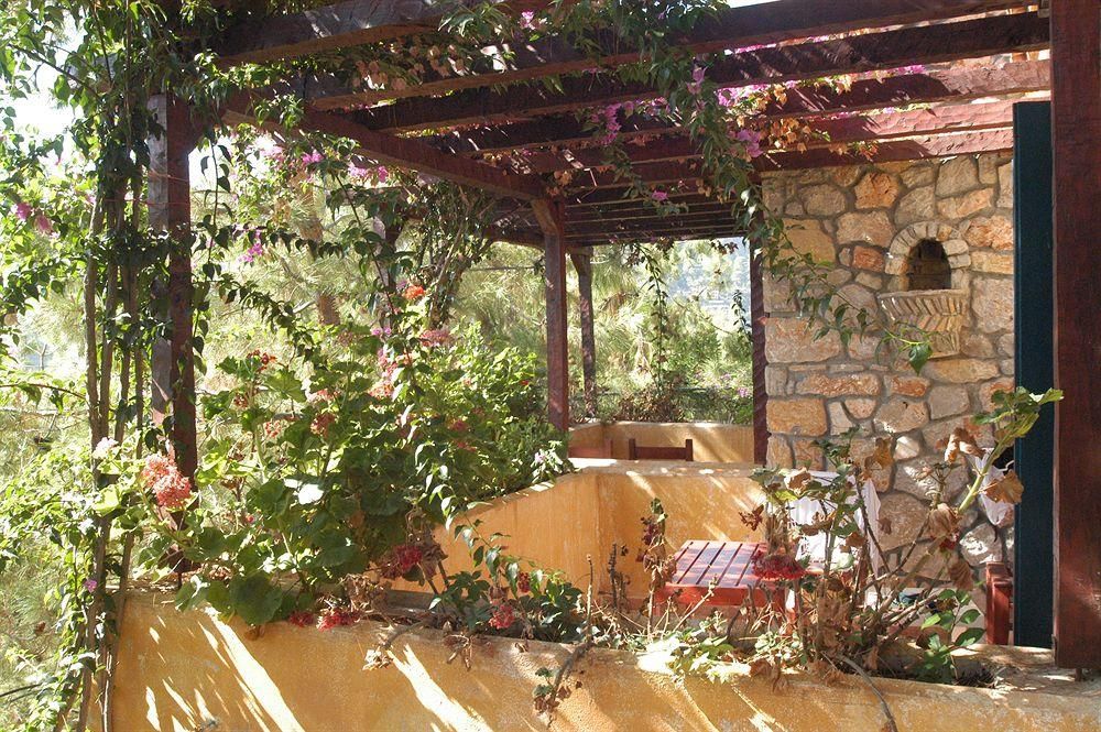 Outdoor Pictures 24