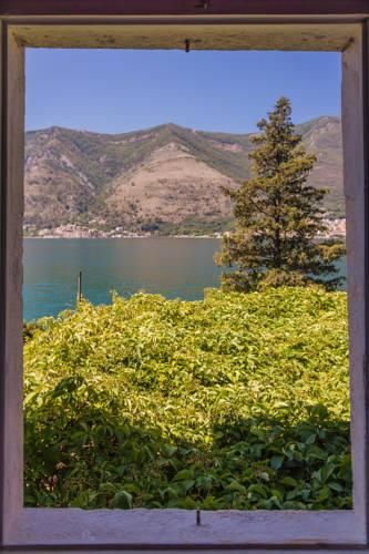 Outdoor Pictures 21