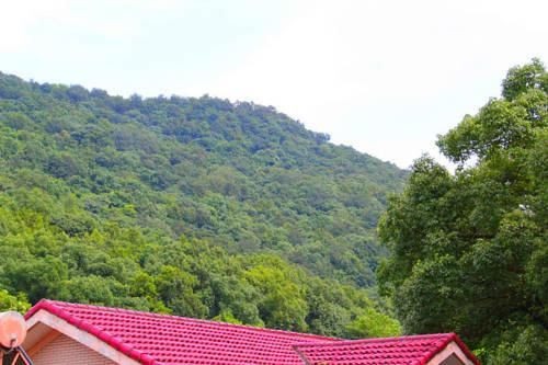 Outdoor Pictures 23