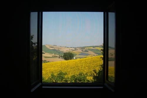Outdoor Pictures 14