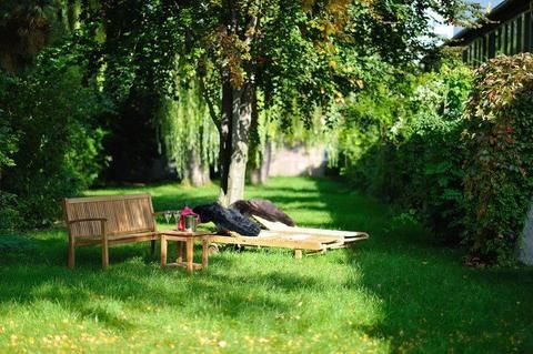 Outdoor Pictures 22